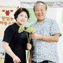 오색채 이미지