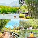 명장체육관 | 2026 담양 대나무축제 기본정보 초청가수 담양 죽녹원 대나무숲