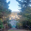 다사공원 이미지