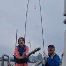 오산항낚시터 이미지