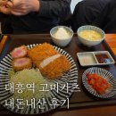 대흥역 고미카츠 내돈내산 후기