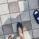 오복제 이미지