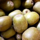 호돌이농장 이미지