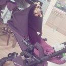 태원세탁 이미지