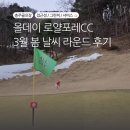 올데이 로얄포레CC 3월 봄날씨, 접근성, 그린피, 서비스 All Good! 코스 리뷰 라운드 후기