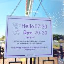 스노우폭스제주 이미지