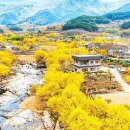 산자락 - 천안시 동남구 해수길 121 | 산자락