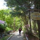 분당동 주민센터 이미지