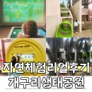 장지공원 터널 옆 화장실 | 담양개구리생태공원 유아,초등 아이와 가볼만한곳 리얼후기