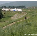 바얀불락 이미지