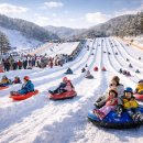 ❄️ 겨울·여름 모두 즐기는 놀이 명소 ✨ 자수정동굴나라썰매장 방문기