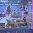 뽀꼬가냥 | 서울 인형뽑기성지 신림역 인형뽑기 + 서울대입구역 샤로수길