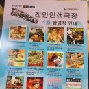 천안인생극장 이미지