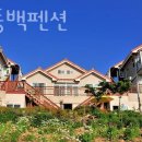 해안동백펜션