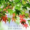 구미숲요양병원 이미지