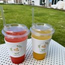 설악의 정원 이미지