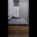 [수원 고시원 고시텔 원룸텔 추천] 웰빙레지던스 성대고시원 조용한 숙소 찾으신다면