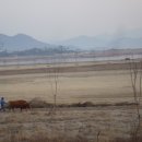 남지읍사무소 이미지