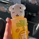 범씨족발 | 언젠가 사라질 걸 알기에 지금을 더 사랑하려고 해