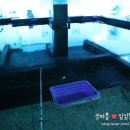 상동바다낚시터