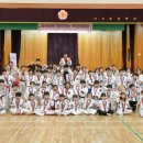 금빛 호랑이 태권도 이미지