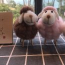 문카페(문토스트)일광점 이미지