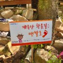 장동산림욕장 이미지