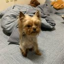 제니펫하우스 이미지