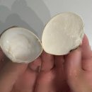 카이 호스텔 이미지