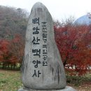 제149차/전남/장성/백양사단풍(2024.11.21) 이미지