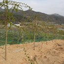 수양2 농장 이미지