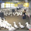 모랭농장 이미지