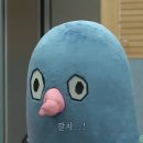 생선선생 이미지