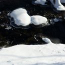 강선산방 이미지