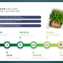 드림큐브시스템