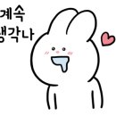 디앤피(D&P)