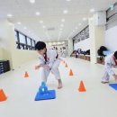 한사랑 태권도 행복도장 이미지