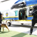 경찰특공대 이미지