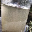 Water for Bushcraft(부쉬크래프트에 있어서 물이란?) 이미지