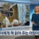 동물병원 더 하임 이미지