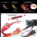 한국합금 이미지