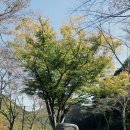 옛이야기 펜션 이미지