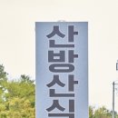 영약국 | 제주 산방산 맛집 다채로웠던 서귀포 갈치조림 맛집