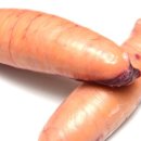 대왕참치 이미지