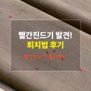빨간진드기 퇴치 후기｜발견 후 제거 방법과 재발 방지 예방법