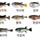 장인복국 네이버블로그