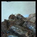 병천순대 Daum카페