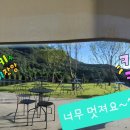 카페디더블유