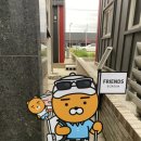 프렌즈스크린브레인시티