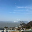 서울 합정동 소품샵 드디어 가본 메종 키티 버니 포니
